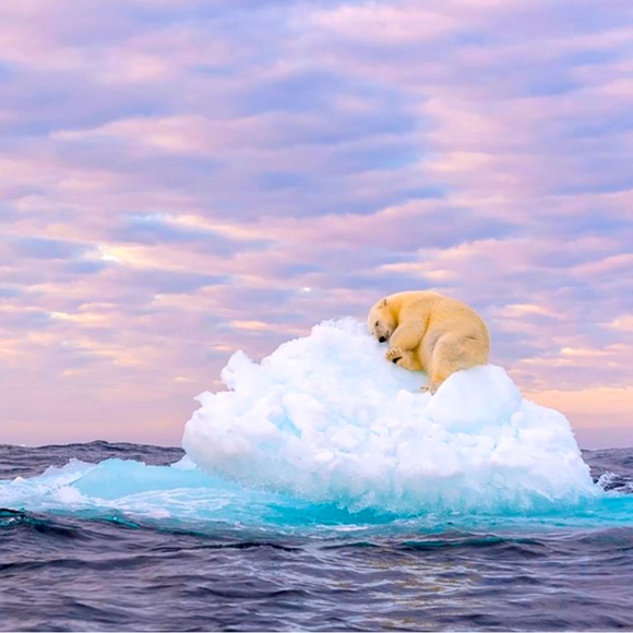 Coach Handbags - FREE Rocks and Crystals!!? Tell me more…